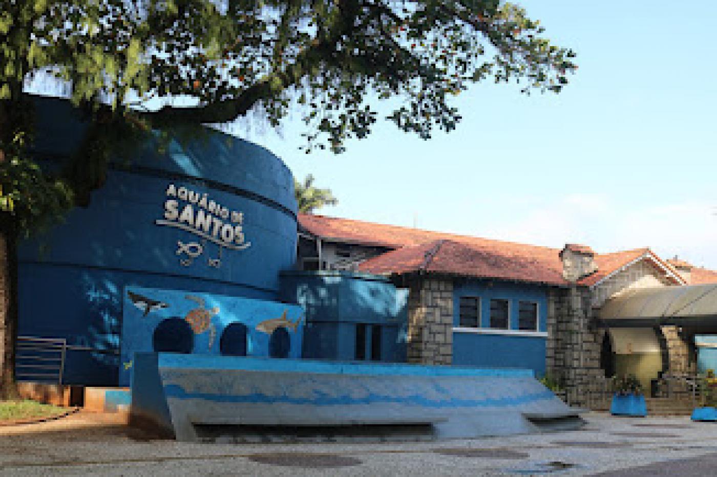 Obra sobre elevação do nível do mar unirá Brasil e Holanda no Aquário de Santos